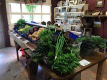 Shortt's Farm and Garden Farm Store
