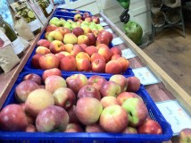 Shortt's Farm and Garden Farm Store